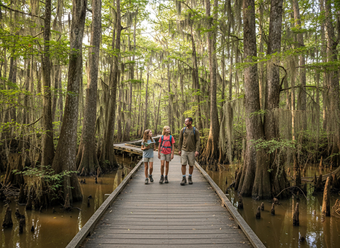 Cypress Swamp Trail
